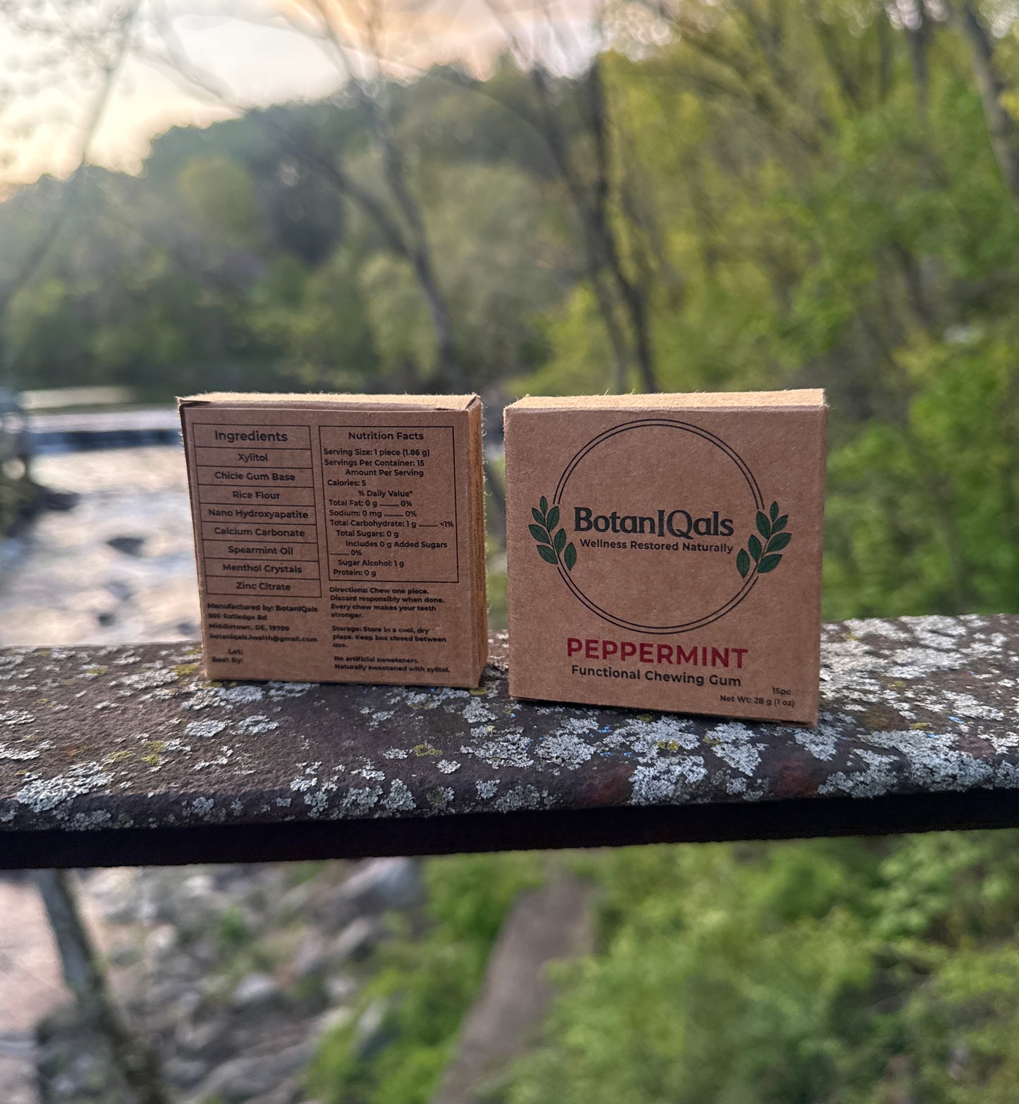Functional Chewing Gum