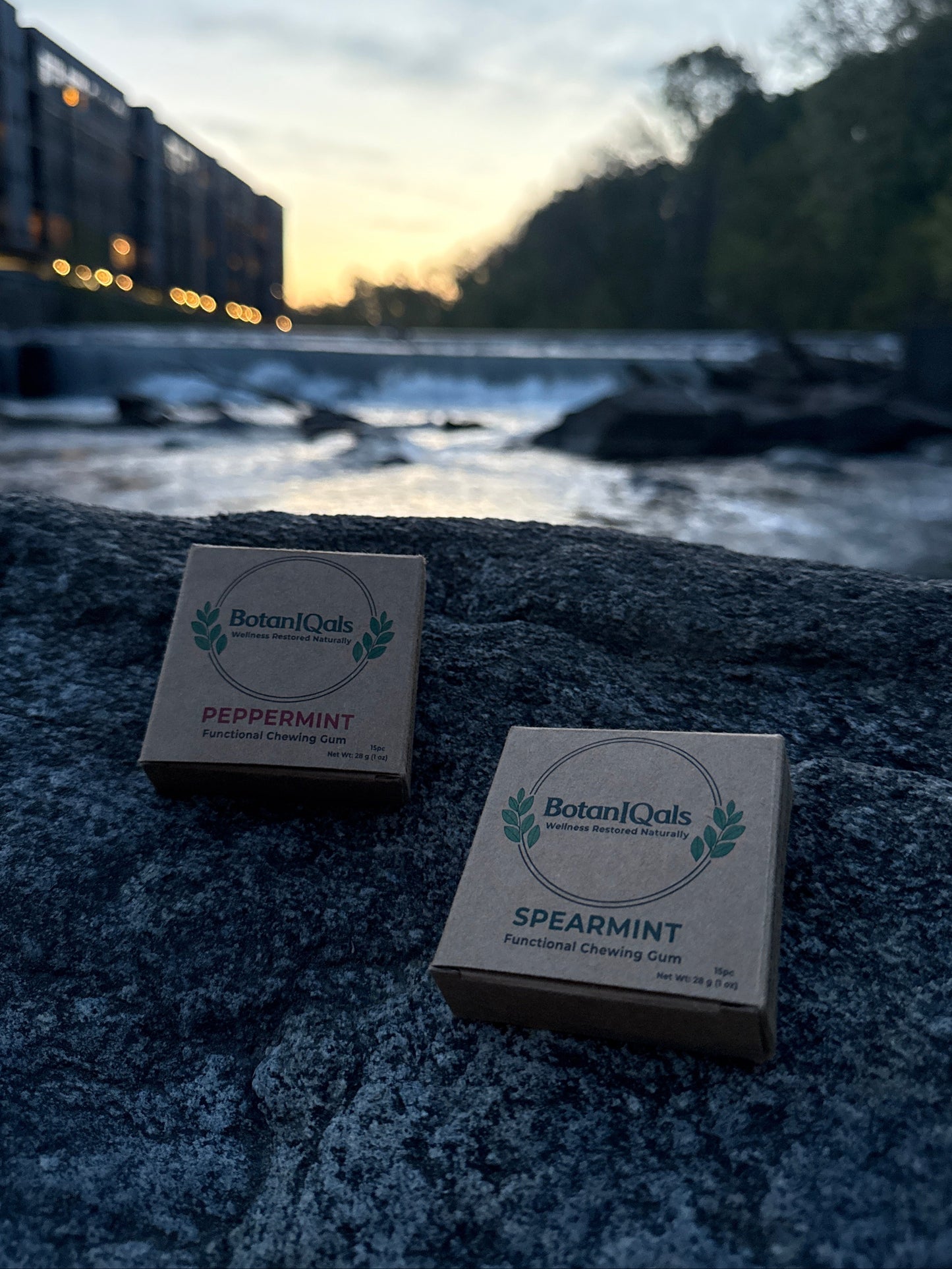 Functional Chewing Gum