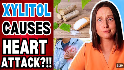 The Recent Xylitol Scare - What You Need To Know!